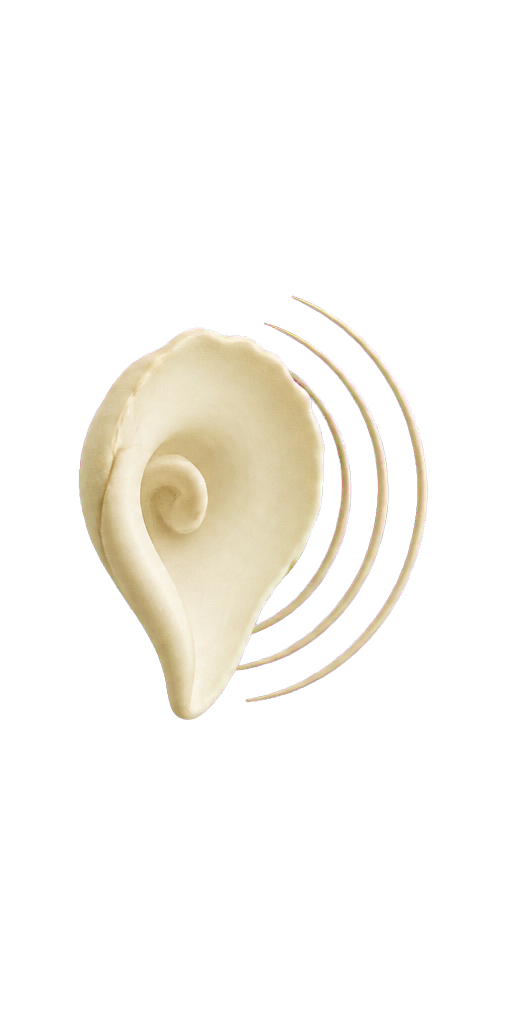 Listening shell with calm sound rings